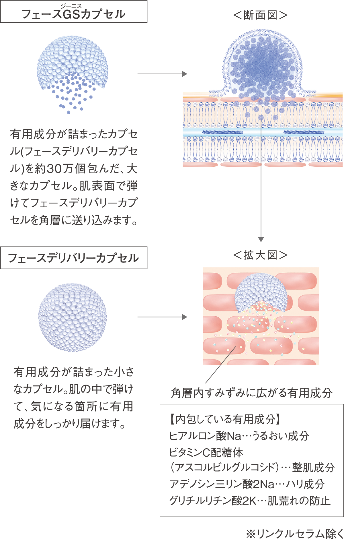 角層すみずみまで有用成分を届ける、マルチ浸透技術「MC2X」