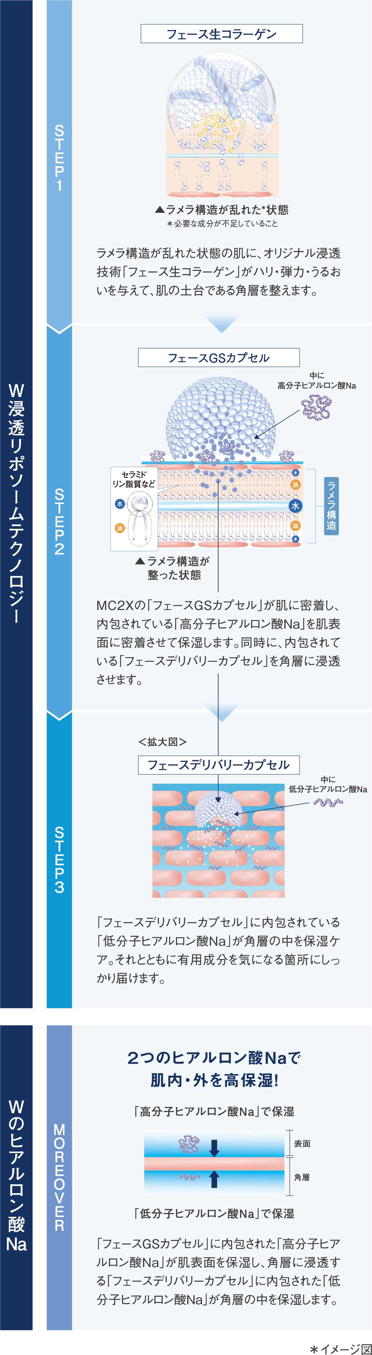 フェースが辿りついた、角層コンディショニングのメカニズム